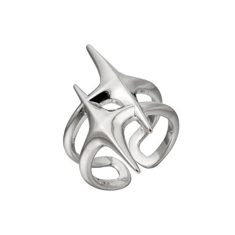 The Theodore Ring